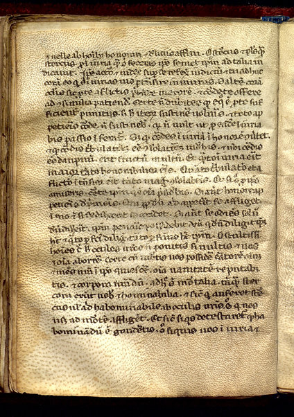Viridiarium consolationis (cc. 1r-12v); Relatio de stigmatibus sancti Francisci (cc. 13r-20v); Frammento di meditazioni e preghiere (cc. 21r-36v); Frammenti di preghiere diverse, in latino e in volgare (cc. 37r-52v); Liber formule (cc. 53r-73r)