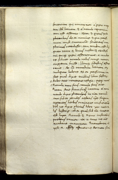 Ortographia dictionum (cc. 1r-76v); De Urbe Roma (cc. 77r-110r); Annotationes P. Annaei Cornuti in Aul. Persium Flaccum (cc. 11r - 165r)