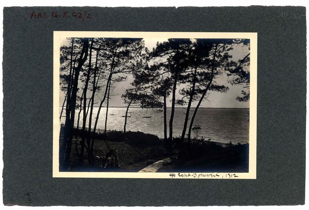 Fotografie di Gabriele D'Annunzio con cani, sullo sfondo il mare