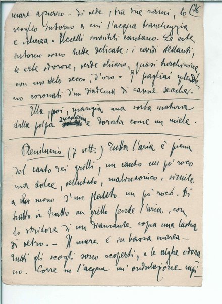 [Il trionfo della morte ; L'invincibile] Inc.: "tratto egli le vede di nuovo la lividura" <schema>