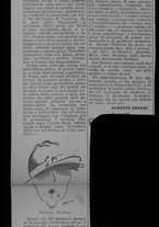 ritagliostampa/7324-08-11/7324-08-11/1