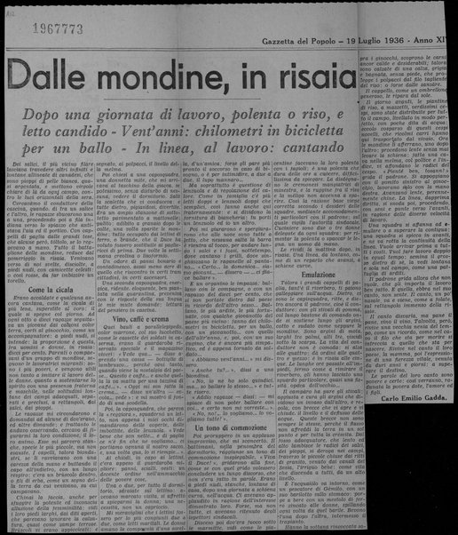 Dalle mondine, in risaia