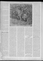 rivista/CFI0358036/1904/n.5/2