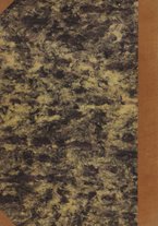 spartito/BVE0275052/263