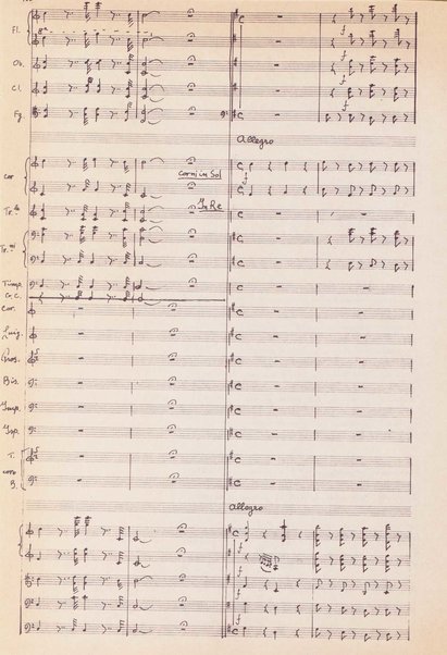 Le convenienze teatrali : opera giocosa in due atti / G. Donizetti ; revisione [e] adattamento del testo letterario: Eva Riccioli