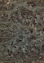 spartito/BVE0312287/206