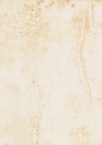 spartito/BVE0313944/224