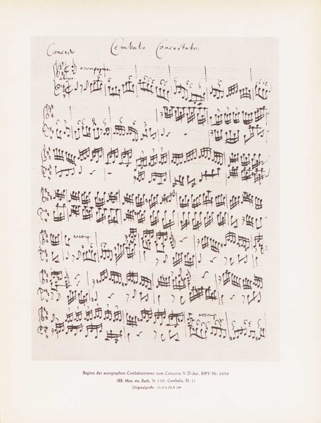 Sechs Brandenburgische Konzerte. 2