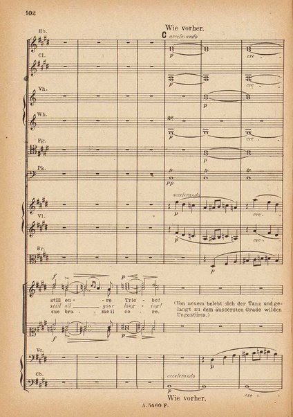 Tannhäuser / Richard Wagner