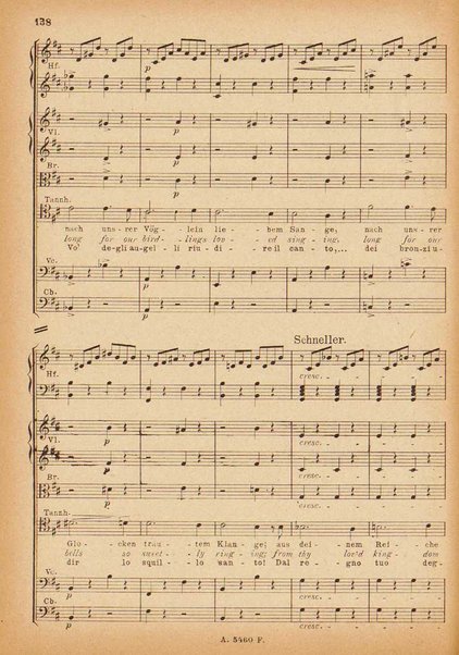 Tannhäuser / Richard Wagner