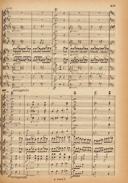 Tannhäuser / Richard Wagner