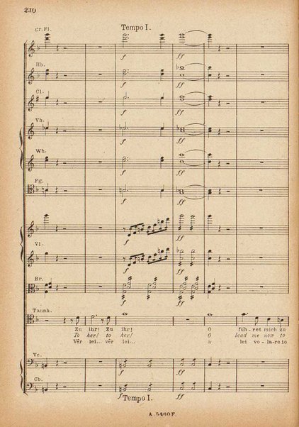 Tannhäuser / Richard Wagner