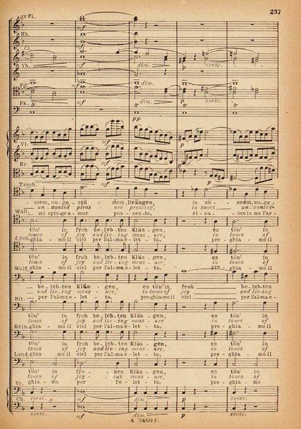 Tannhäuser / Richard Wagner