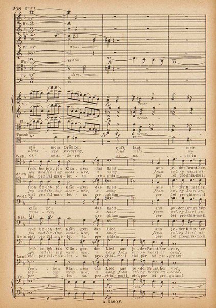 Tannhäuser / Richard Wagner