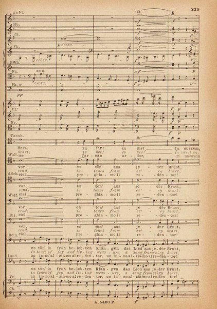 Tannhäuser / Richard Wagner