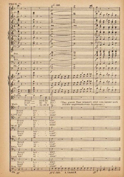 Tannhäuser / Richard Wagner