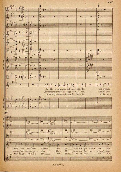 Tannhäuser / Richard Wagner