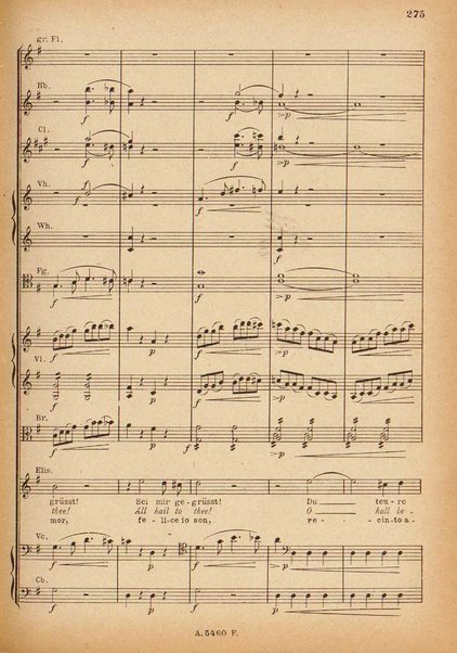 Tannhäuser / Richard Wagner