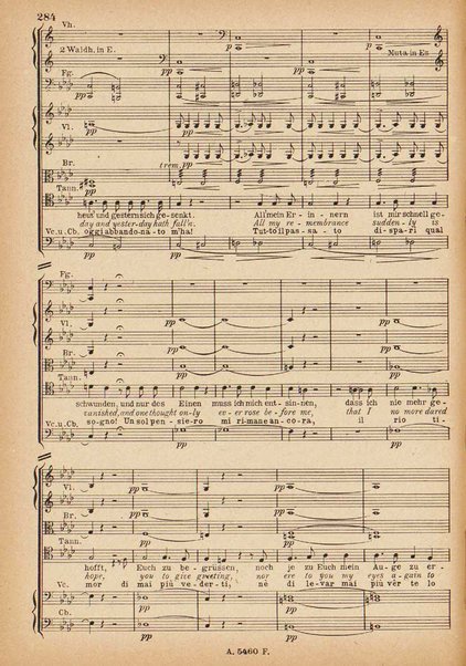 Tannhäuser / Richard Wagner