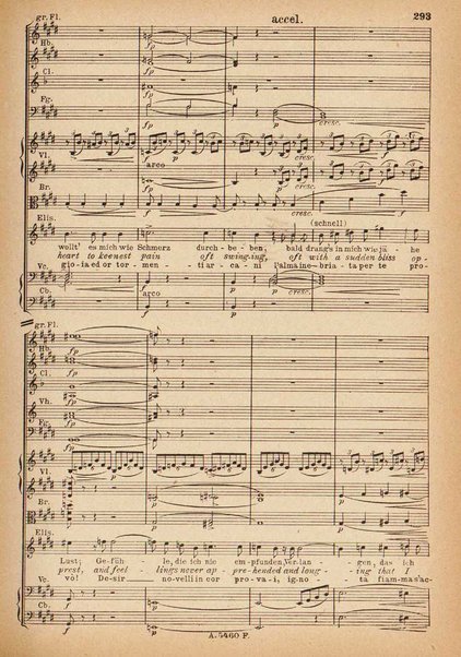 Tannhäuser / Richard Wagner