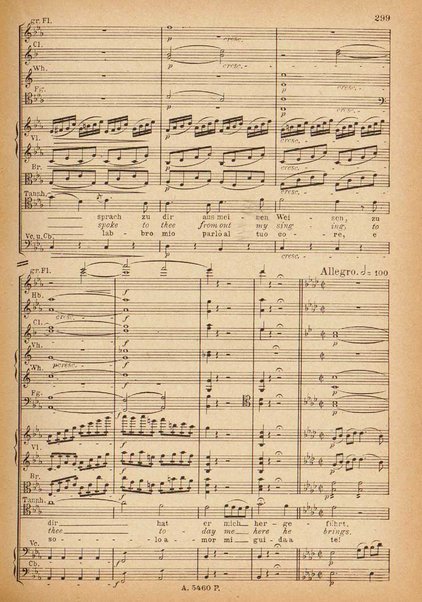 Tannhäuser / Richard Wagner