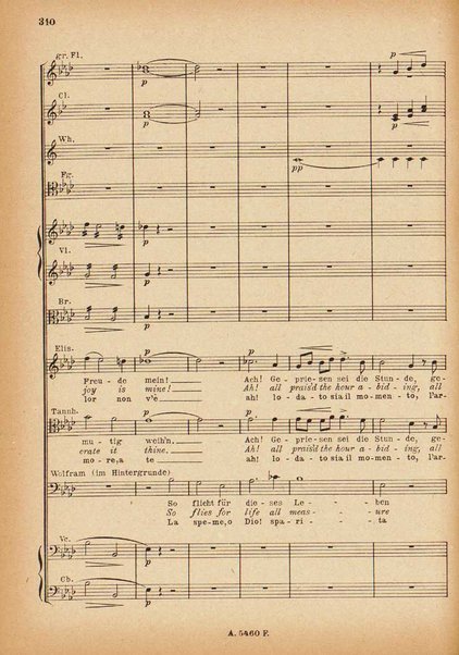 Tannhäuser / Richard Wagner