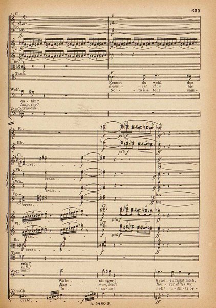 Tannhäuser / Richard Wagner