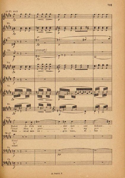 Tannhäuser / Richard Wagner