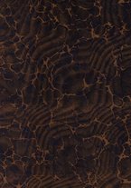 spartito/BVE0346579/1