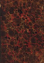 spartito/BVE0348852/1