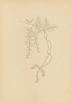 spartito/MUS0258198/7