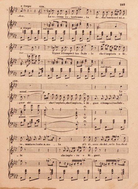 La favorita : opera in quattro atti / parole di A. Royer, G. Vaez ed E. Scribe ; musica di Gaetano Donizetti