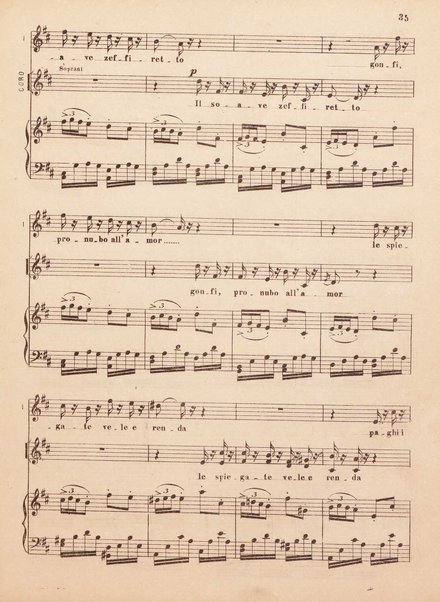 La favorita : opera in quattro atti / parole di A. Royer, G. Vaez ed E. Scribe ; musica di Gaetano Donizetti