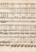 spartito/MUS0265282/100