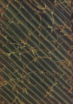 spartito/UBO2106830/214