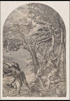 stampedisegni/BVE0806565/BVE0806565/1