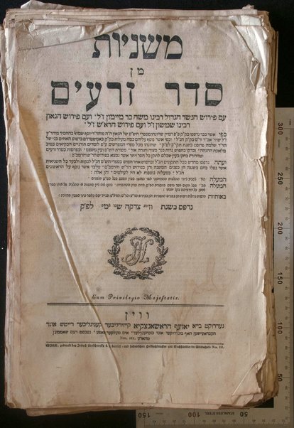 Talmud Bavli : ʻim perush Rashi ṿe-Tosafot u-fisḳe Tosafot ṿe-rabenu Asher u-fisḳe ha-Rosh u-ferush ha-Mishnayot meha-Rambam / ke-fi asher nidpesu bi-ḳ. ḳ. F.f. de-Mayn ... she-hughu ... ʻa.p. lomdim toraniym