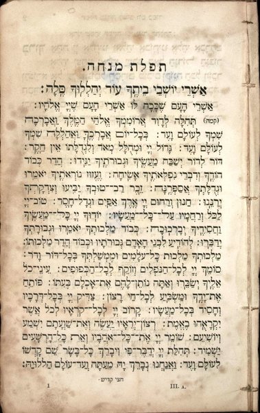 Maḥazor le-khol moʻade ha-shanah : mugah u-meduyaḳ ... meturgam Ashkenazit me-ḥadash / ǂc meforash... ʻal yede Yeḥiʼel Mikhl Zaḳś... ; ke-minhag Polin Behmen Mehren ṿe-Ungaren