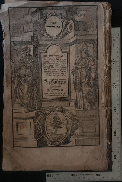 Sefer Ape Ravreve : ṿe-hem beʼurim ... ʻal Shulḥan ʻarukh Even ha-ʻezer ... / Ḥelḳat meḥoḳeḳ ... Mosheh ... de Brisḳ ... ; Bet Shemuʼel ...