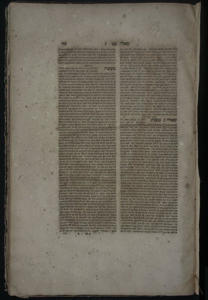 Sefer Sheʼelot u-teshuvot : sefunot ṿa-ḥashuvot, be-Yiśraʼel mefursamim, reḥo nodef ki-beśamim ... / asher paʻal ṿe-ʻaśah Yosef ben Lev.