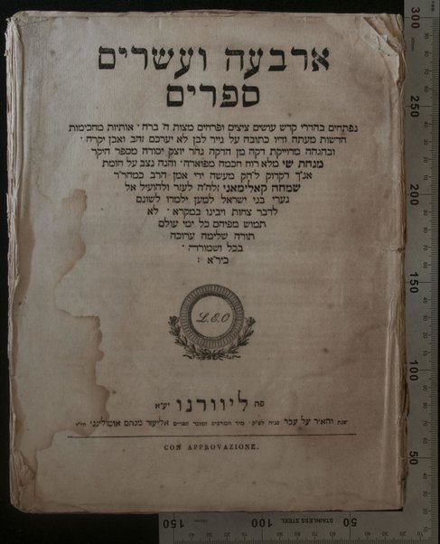 Sefer arbaʻah ṿe-ʻeśrim : ḥeleḳ shelishi [-reviʻi] Neviʼim aḥaronim [-Ketuvim] ... hineh hinam mesudarim ... u-mugahim ... u-menuḳim ... le-daʻat Minḥat Shai / Śimḥah Ḳalimani ...