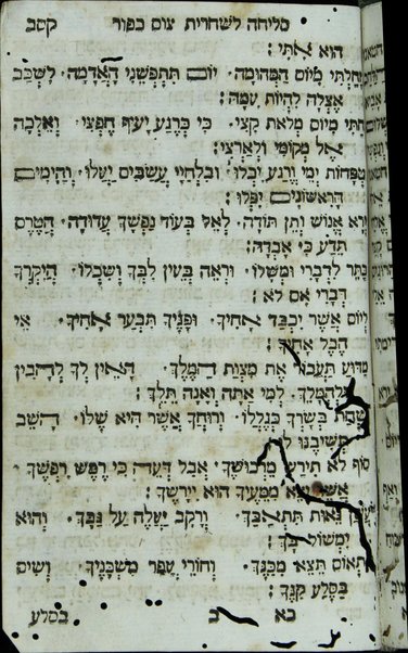 Mạhzor shel kol ha-shanah : kefi minhag ḳ.ḳ. Iṭaliyani ... ṿe-ʻatah hosafnu vo tosafot merubah ʻal ha-ʻiḳar, kol ha-dinim ha-shayakhim le-khol ha-shanah ...