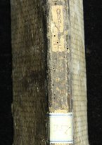 volumeEbraico/CELIV-0001048/2