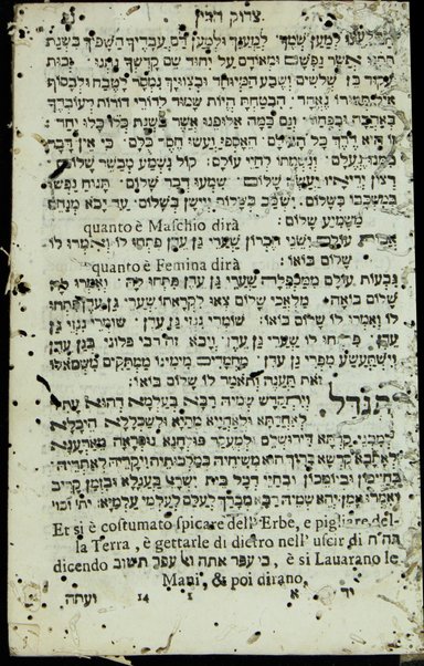 Seder berakhot : ke-minhag ḳ.ḳ. bene Roma