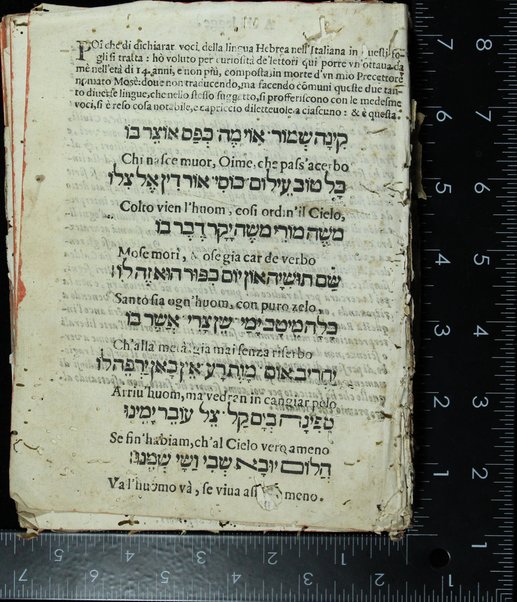 Galut Yehudah : ṿe-hu pesher davar mi-kol milah ... mi-kol ha-Miḳra u-virkat ha-mazon ṿe-hagadat Pesaḥ u-Firḳe Avot bi-leshon Iṭali'ano ... Pi Aryeh ... = Novo Dittionario Hebraico et Italiano ...