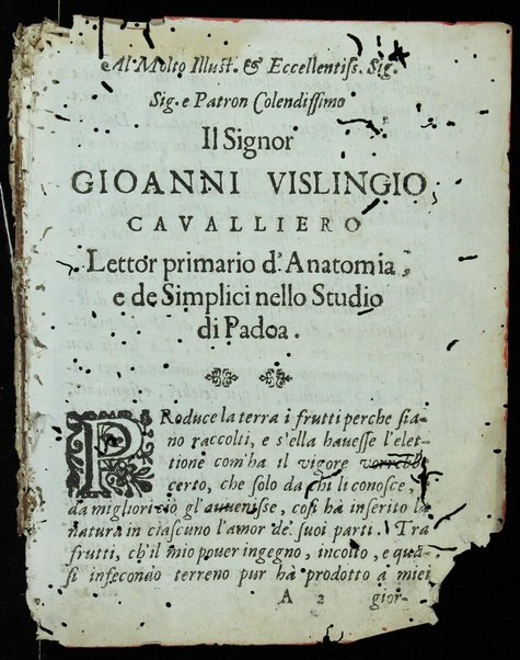 Galut Yehudah : ṿe-hu pesher davar mi-kol milah ... mi-kol ha-Miḳra u-virkat ha-mazon ṿe-hagadat Pesaḥ u-Firḳe Avot bi-leshon Iṭali'ano ... Pi Aryeh ... = Novo Dittionario Hebraico et Italiano ...