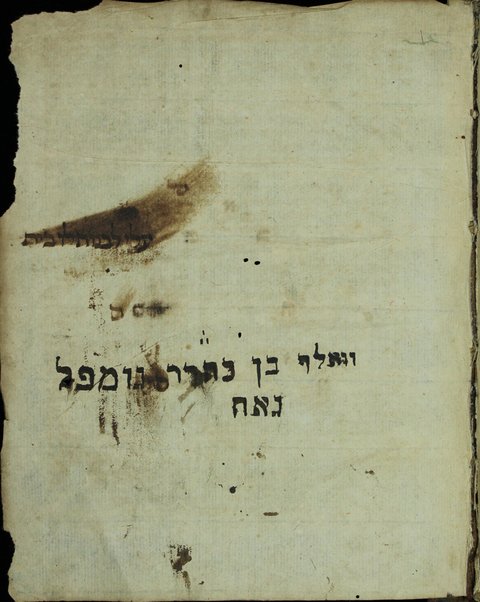 Sefer Magishe minḥah : ... ʻim pe. Rashi ṿe-gam pe. maspiḳ bi-leshon Ashkenaz ... kefi peshuṭo ṿe-aḥ. k. ha-derush mi-kamah midrashim u-mefarshe ha-Torah ka-asher nidpas kevar ...