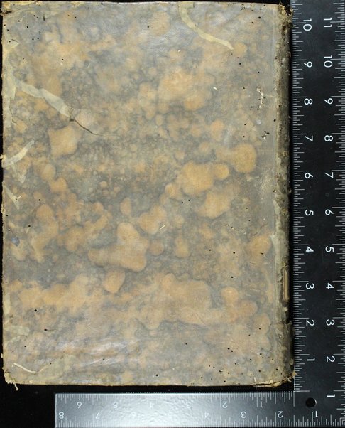 Arbaʻah ṿe-ʻeśrim sefarim : ... Sefer ha-bahir Minḥat Shai