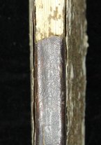 volumeEbraico/CEPI-0000086/2