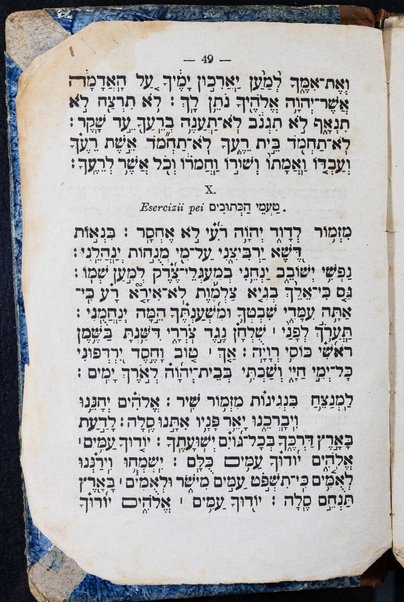 Mesilat ha-limud : ḥinukh ha-yeladim be-ḳeriʼat ha-otiyot ṿeha-milot bi-leshon ʻIvrit ṿe-ḳitsur kelale ha-ḳeriʼah / ḥibro Yehuda Leb ben Zeʼev ; ve-nilṿeh alaṿ haʻataḳah bi-leshon Iṭaliana me-et Leon H. Romanini.